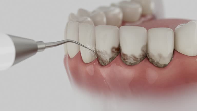 Reliable Dental contractor in North Platte, NE by Dentist Open Now